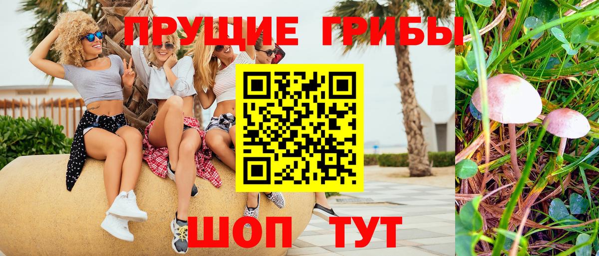 Галлюциногенные грибы MAGIC MUSHROOMS  даркнет сайт  Ипатово  Вход с VPN  Галлюциногенные грибы ЛСД 
