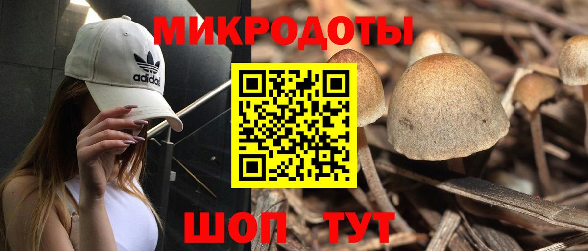 Галлюциногенные грибы мухоморы Ипатово